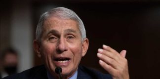 Senate GOP Plans to Probe Fauci after Midterm Elections