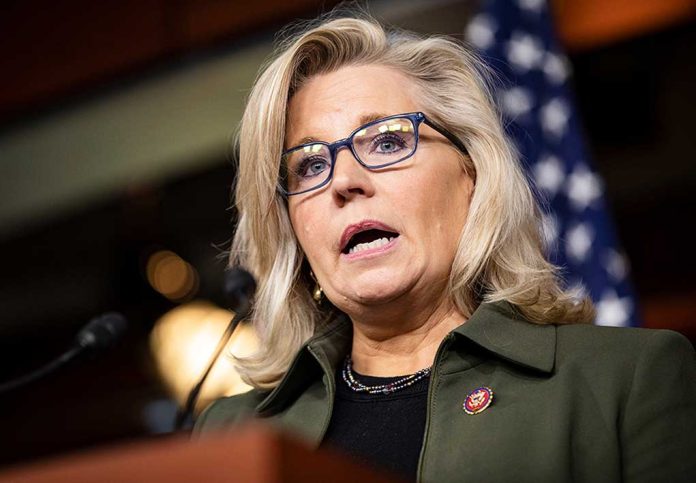 Shady Koch Brother Network of Billionaires Is Quietly Funding Liz Cheney