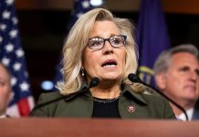 Liz Cheney Is Prepared To Lose for Her Support of the Democrat Party