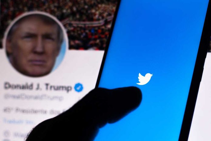 Donald Trump Reinstated on Twitter, His Final Tweets Prove Everyone Wrong