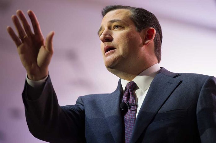 Ted Cruz Announces His Run for Senate Re-Election