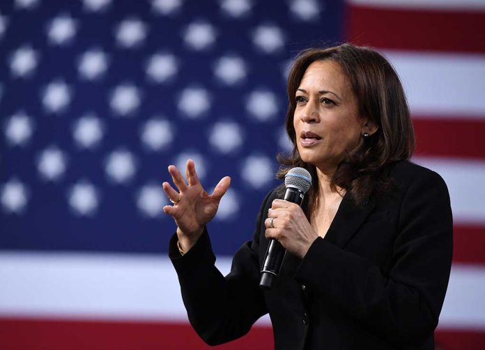 Kamala Harris Targets Pro-Life Policies During Rally