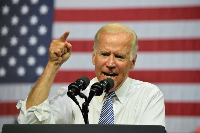 Biden Could Be Hit by 2024 Gas 