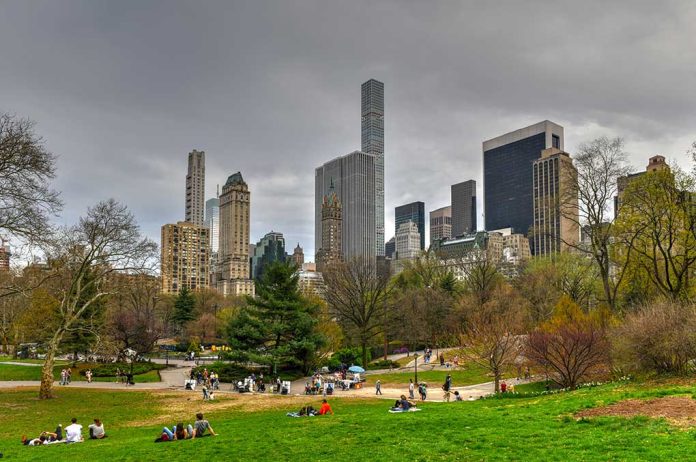 People relaxing in a park, city skyline background.