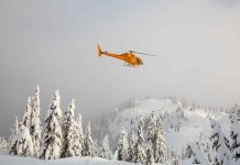 Yellow helicopter flying over snowy evergreen forest.