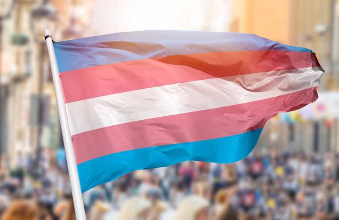 Transgender pride flag waving at outdoor event.