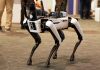 Robotic dog standing on indoor carpeted floor.