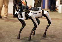 Robotic dog standing on indoor carpeted floor.