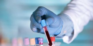 Gloved hand holding a test tube with blood.