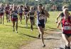 Runners competing in an outdoor cross country race