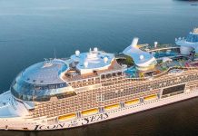 Large cruise ship sailing in open water