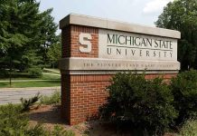 Michigan State University entrance sign with bushes and trees.