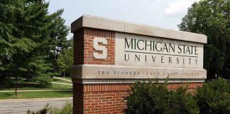 Michigan State University entrance sign with bushes and trees.