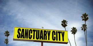 Sanctuary City sign with palm trees and sky