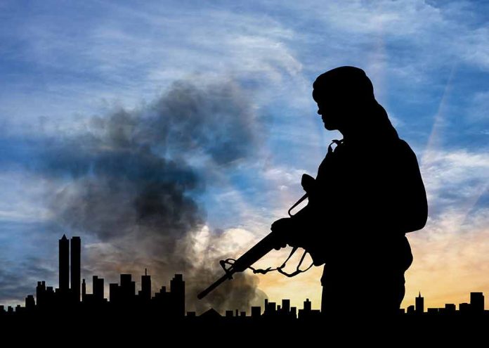 Silhouette of armed figure with smoky city skyline