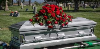 Silver casket with red roses in a cemetery