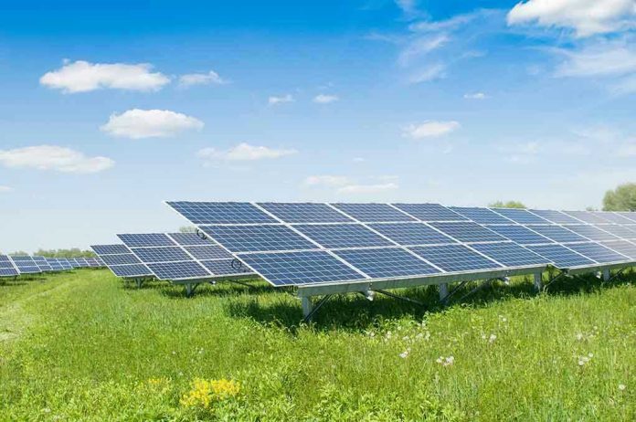 1909802176. Solar panels in a grassy field under blue sky.
