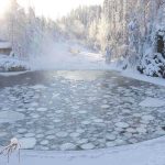 Three Brothers DEAD — Each Died Saving the Other A serene winter landscape featuring a frozen lake surrounded by snow-covered trees and a log cabin