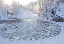 Three Brothers DEAD — Each Died Saving the Other A serene winter landscape featuring a frozen lake surrounded by snow-covered trees and a log cabin