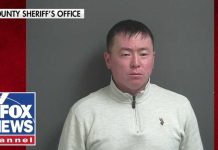 Semi-truck driver in ICE custody after deadly head-on crash