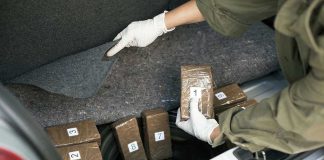 Person discovering wrapped packages in a car trunk.