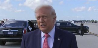 Trump responds to Tiger Woods' recent car crash and arrest