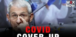 Fauci's former senior adviser indicted on charges of