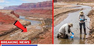Colorado River’s Hidden Water Crisis Exposed Scientists JUST REVEALED that Colorado River Will Collapse