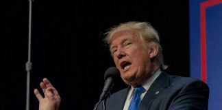 GOP Base Roars: America First Dominates Person speaking into microphone at a podium.