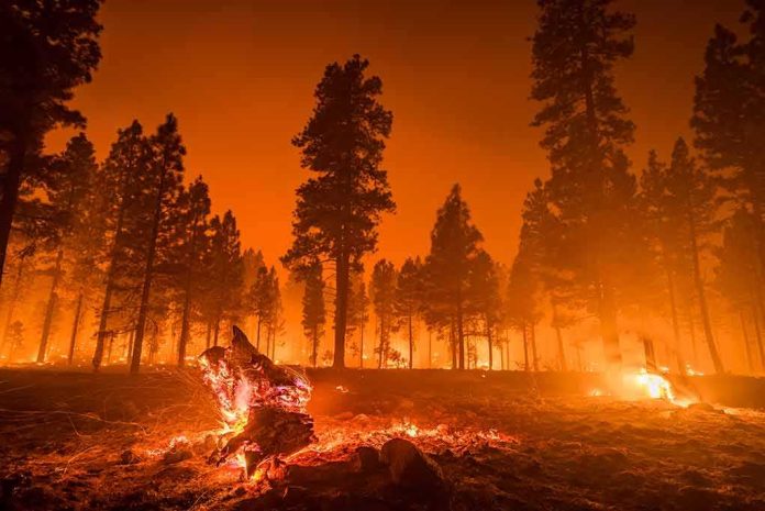 shutterstock_1798609201-1 Wildfire burning through a pine forest at night