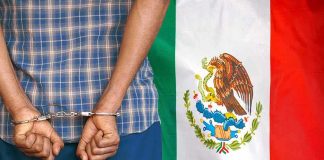 Person in handcuffs beside a tricolor flag with an eagle emblem