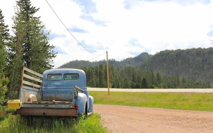 Old blue pickup truck parked by a rural dirt road