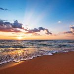 Rare Venomous Sea Snake Stuns Beachgoers sunset over ocean waves on sandy beach