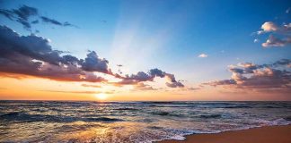 Rare Venomous Sea Snake Stuns Beachgoers sunset over ocean waves on sandy beach