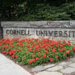 Cornell University stone sign with red flowers
