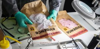 Forensic technician handling evidence bags on a lab table