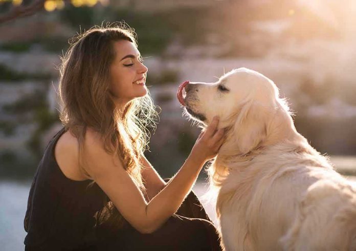 shutterstock_443728036 Woman petting a golden retriever at sunset
