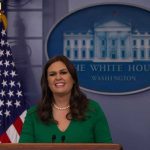 woman speaking at a White House press briefing podium