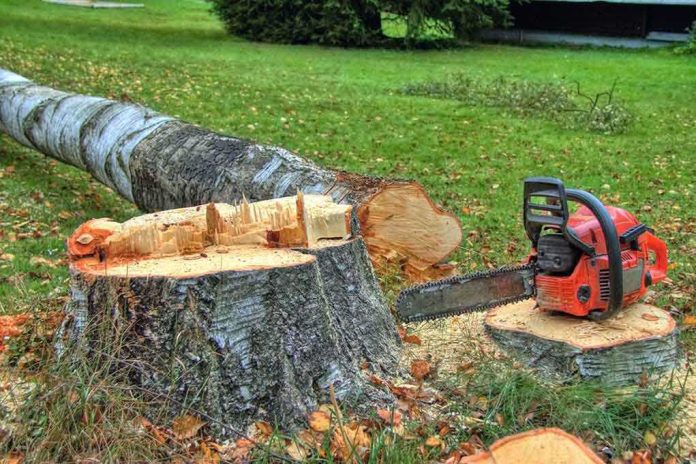 shutterstock_114939832 A chainsaw rests on a freshly cut tree stump in a grassy area