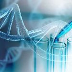 DNA Twist Ties Ted Bundy To Utah Teen DNA helix with pipette over test tubes