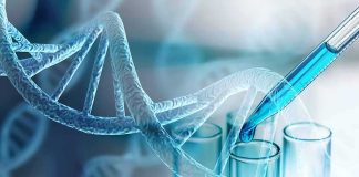 DNA Twist Ties Ted Bundy To Utah Teen DNA helix with pipette over test tubes