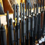 Mother’s Shotgun, Prosecutor’s Puzzle Shotguns and rifles lined up on a rack in a gun store