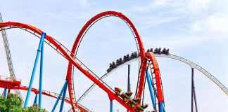 Fatal Plunge Triggers Nationwide Ride Shutdown Colorful roller coaster with riders on a sunny day